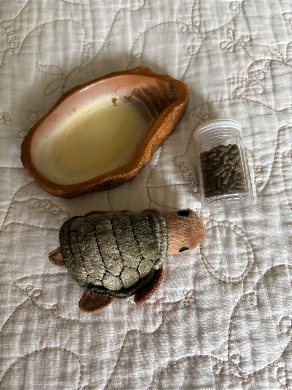 Our Generation Turtle, Bed & Food